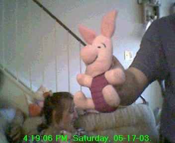 piglet